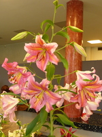 Foto: Dr. Peter Müller